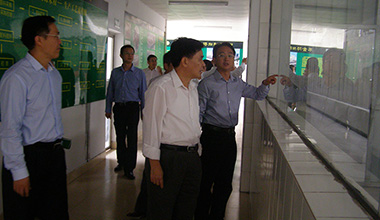 河源市人大代表一行蒞臨我司視察指導工作