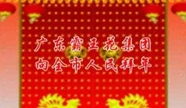 霸王花集團?2012賀年2