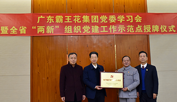 廣東霸王花集團(tuán)黨委開展學(xué)習(xí)會暨全省“兩新”組織黨建示范點授牌儀式